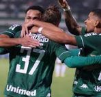 Live Chat Arenascore - Prediksi Gremio Novorizontino SP Vs Chapecoense